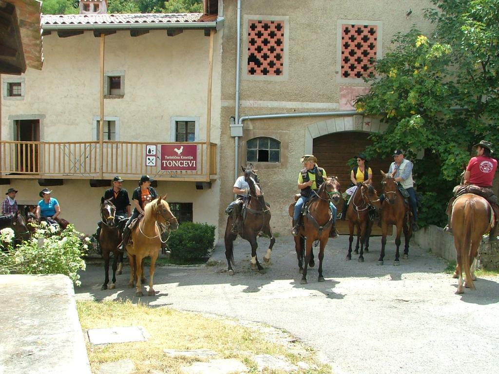 Отель Toncevi Eco Estate Branik Экстерьер фото
